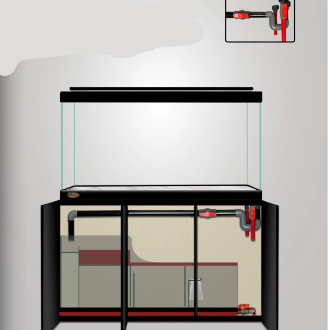 Arowana Tank