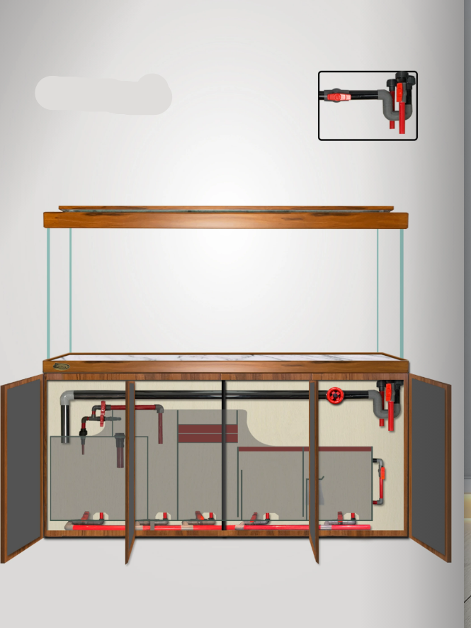 Arowana Tank